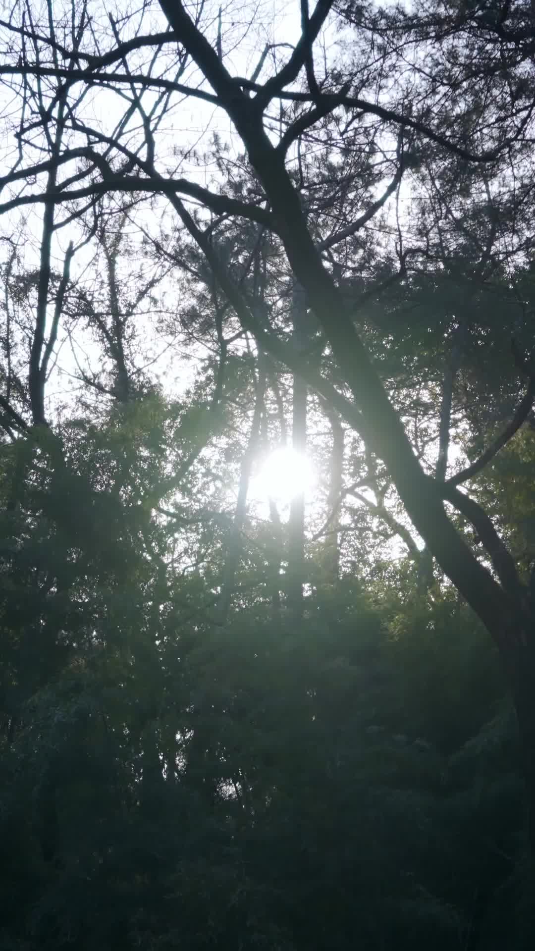 Evdeki Canavar ve Babanın Sırrı EP.6