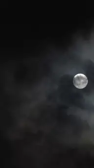 Sexy Frau des Präsidenten EP.5