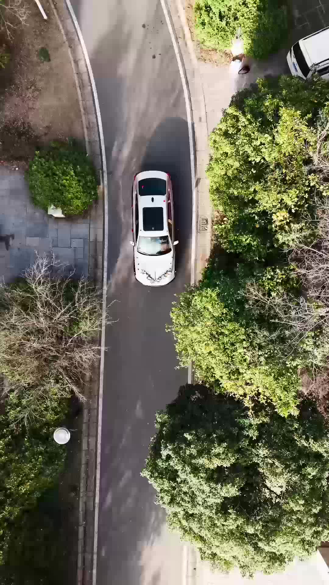 第28集