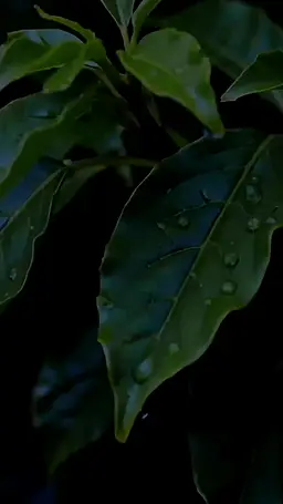 Episode 55