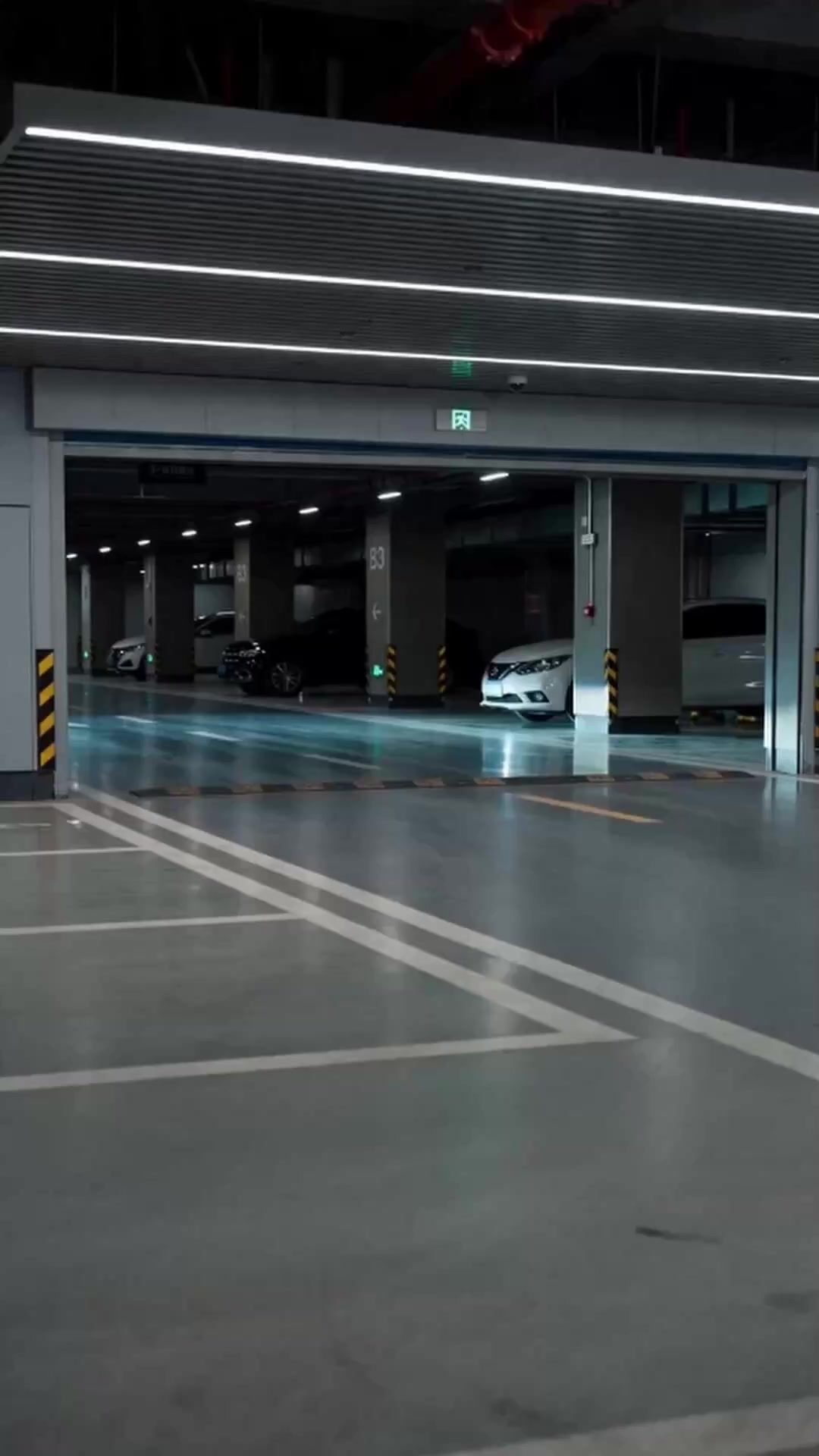 第51集
