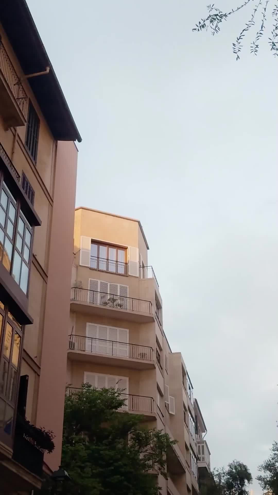 Mafya Babasıyla Tatlı Bir Anlaşma EP.7