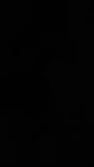 Pasarela en la Ruina Temporada 2 EP.2