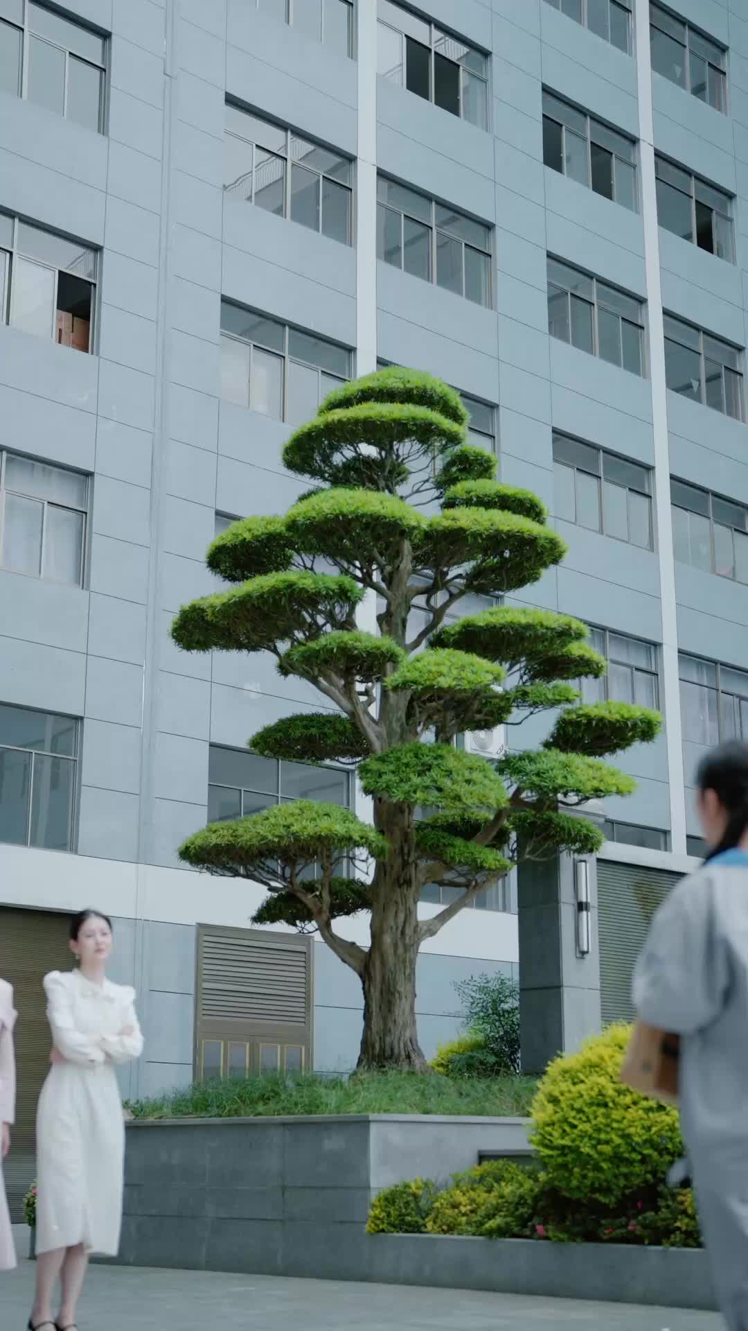 我曾资助她 EP.5