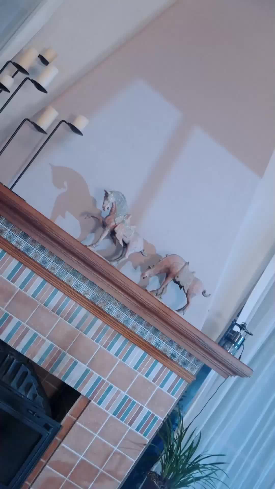 溺愛されるかバカにされるか EP.1