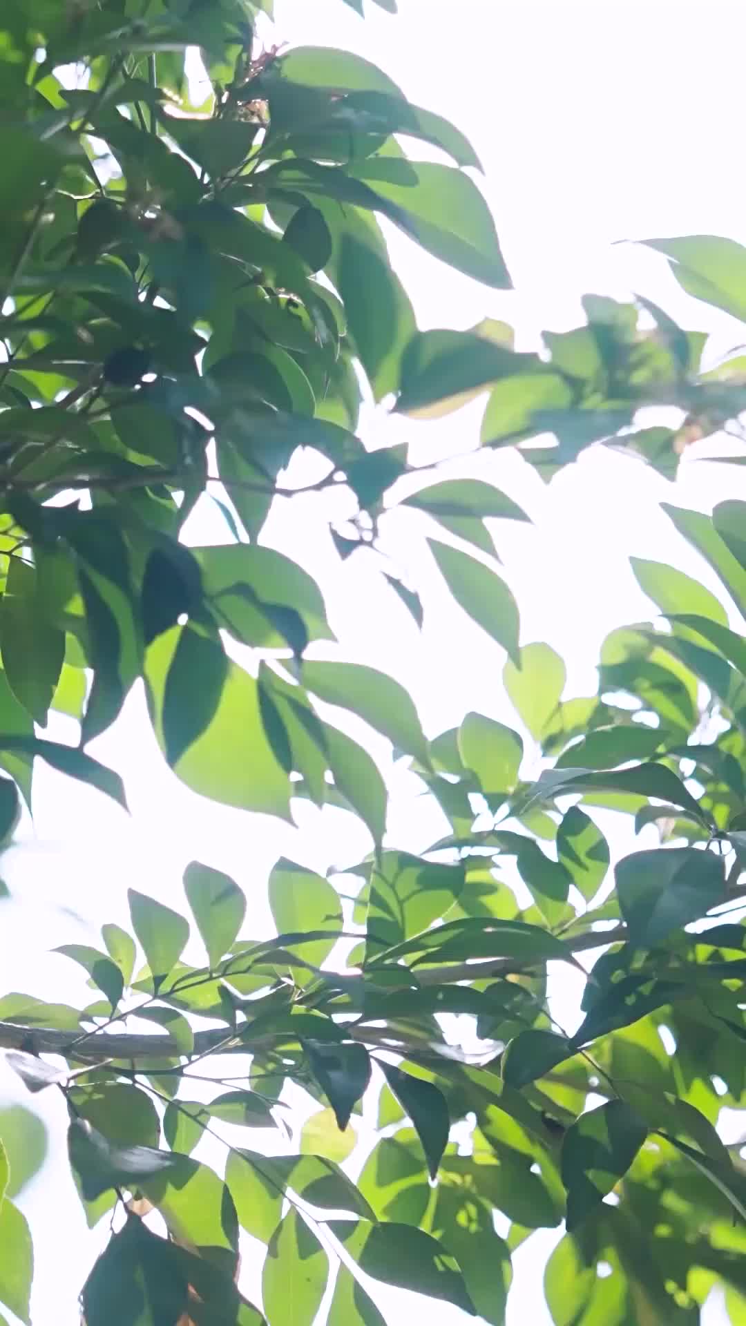 ตอนที่ 21