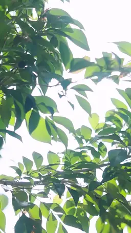 ตอนที่ 21