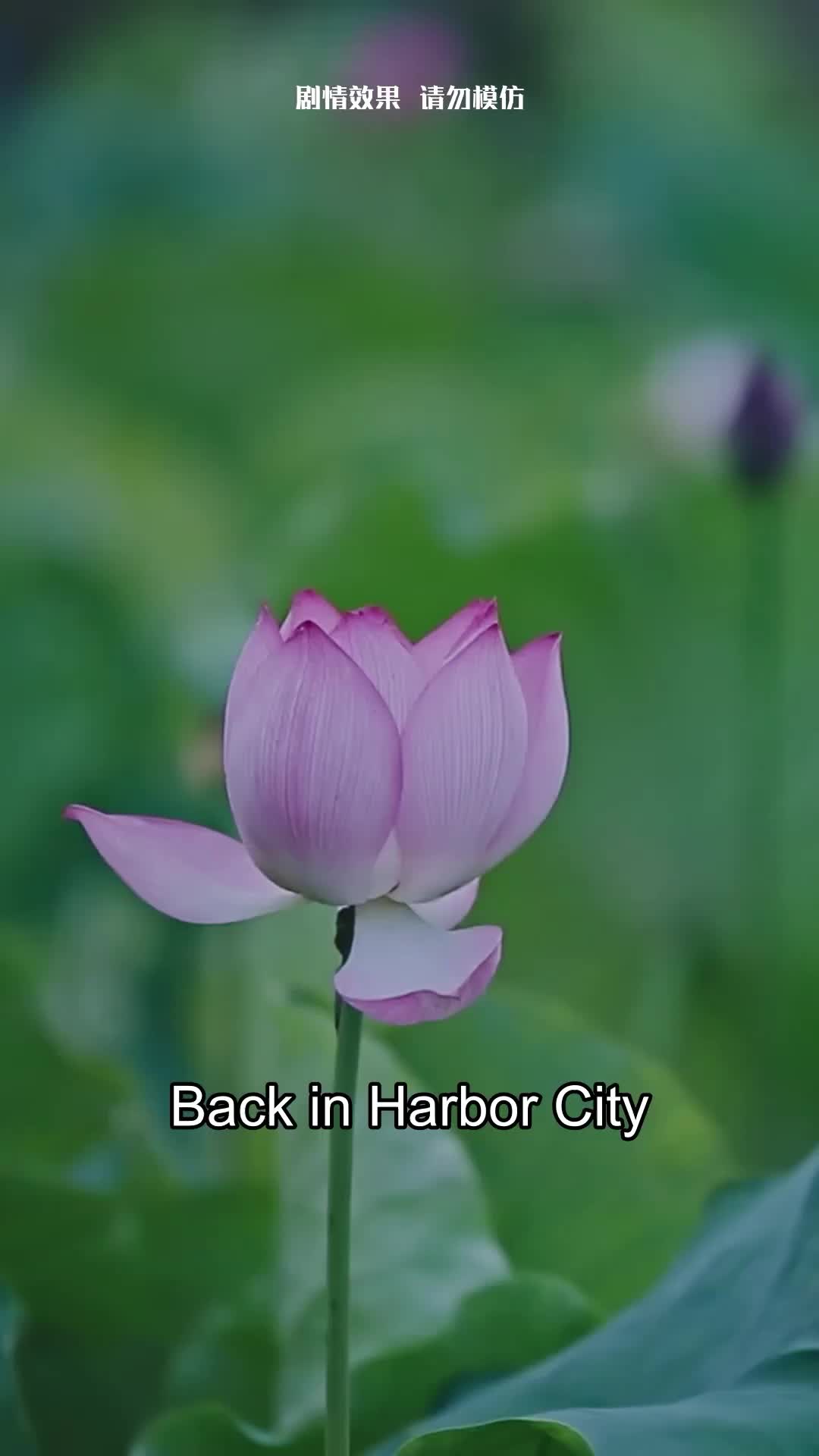 Taming the Ruthless Marshal EP.5