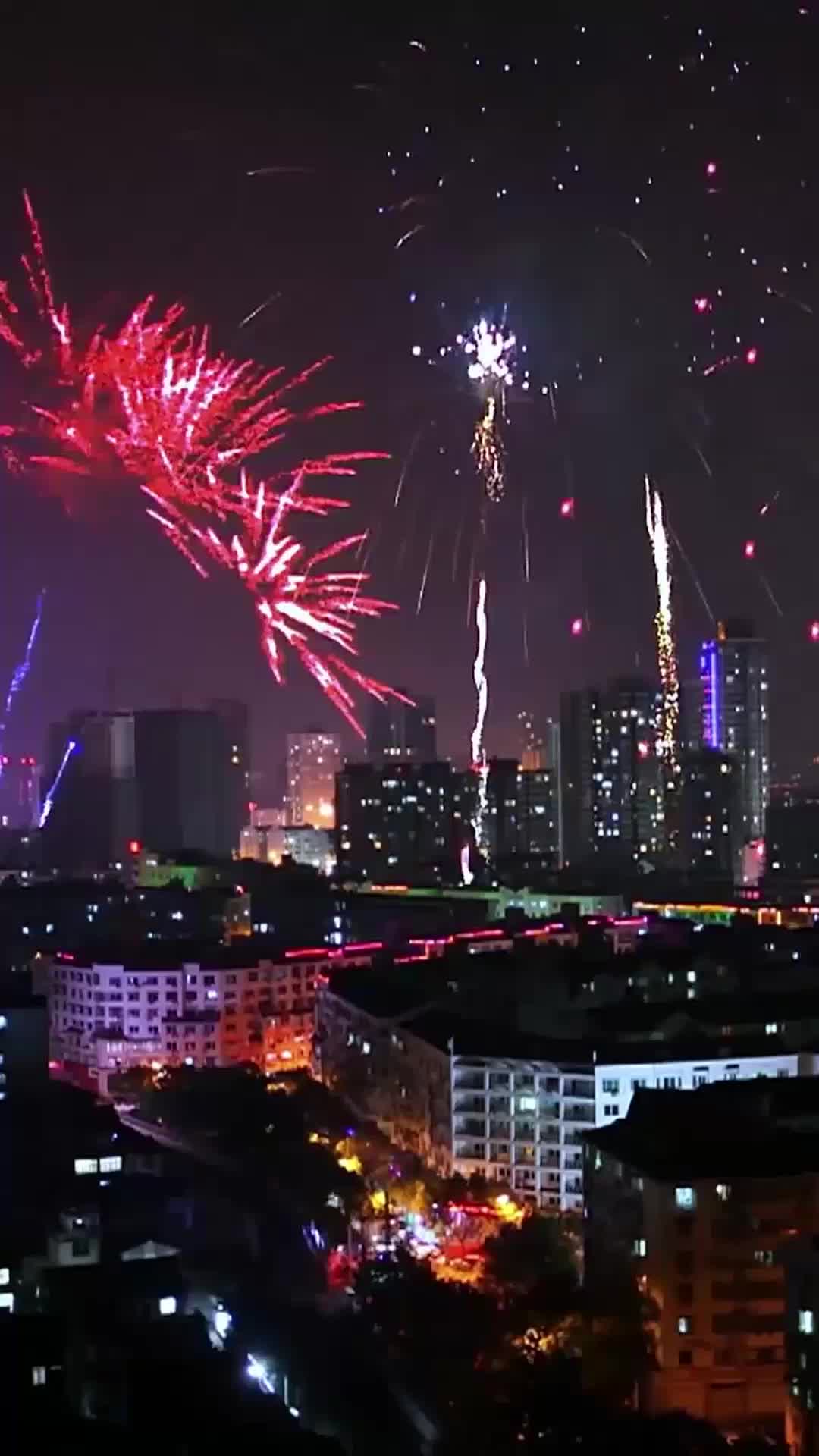 她的最后证词 EP.2