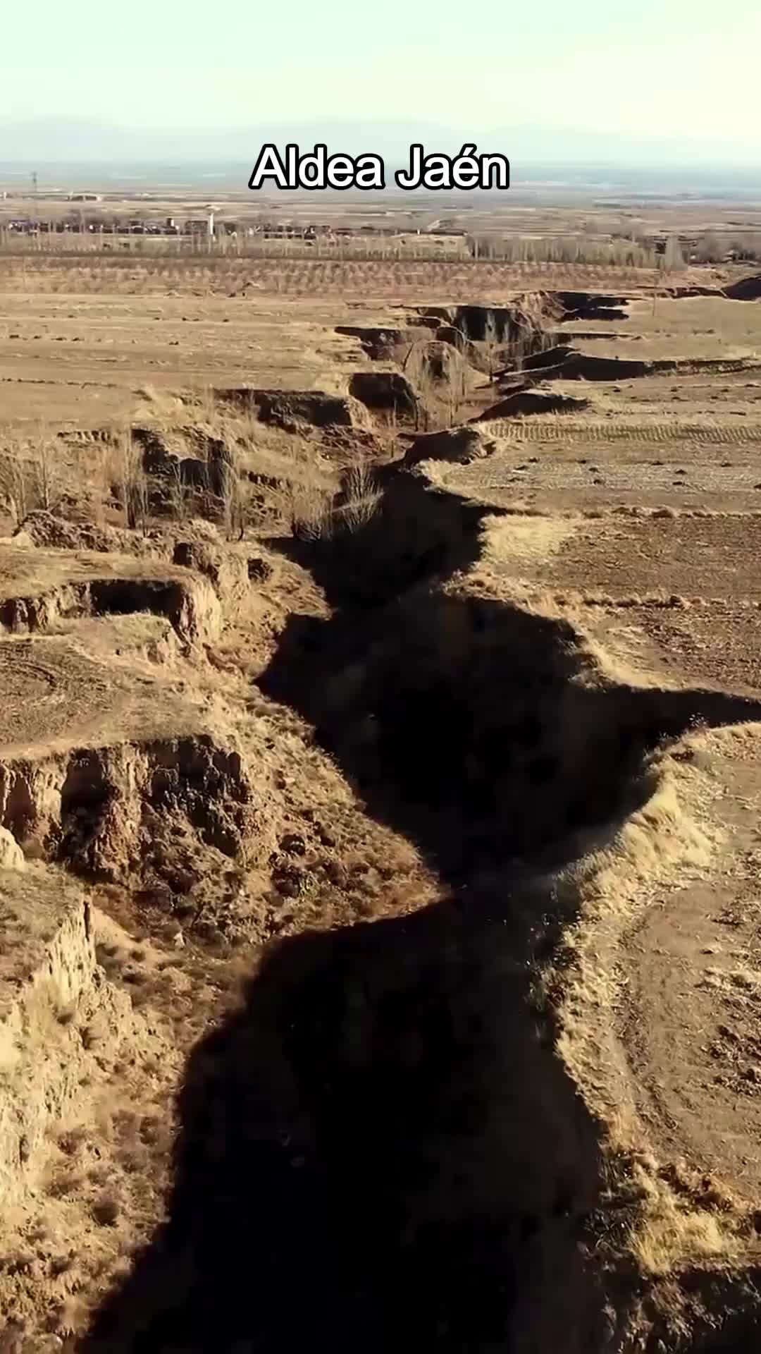 Jade, mi amuleto de la suerte EP.1