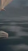 Episódio 26