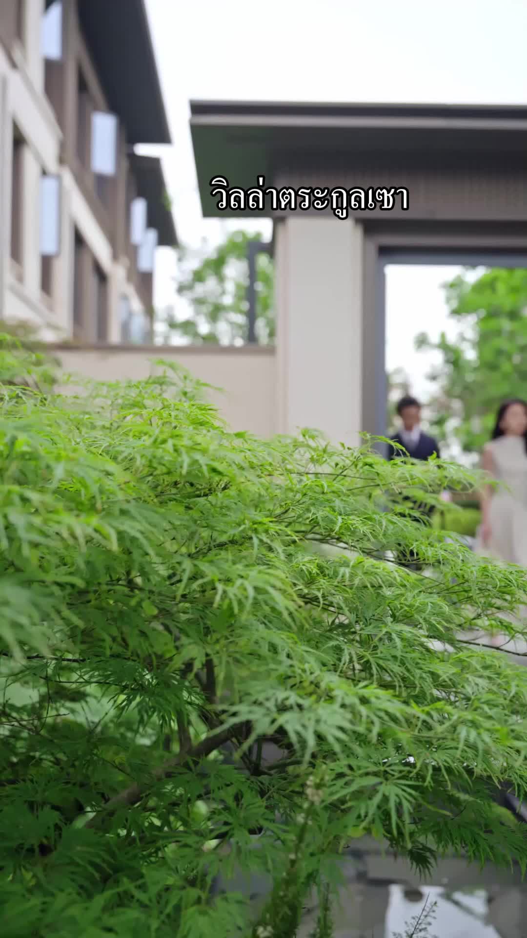 ตอนที่ 46