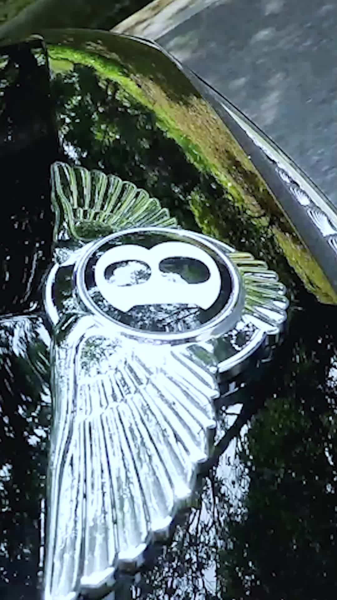 神醫下山，未婚妻閨蜜倒追我 EP.9