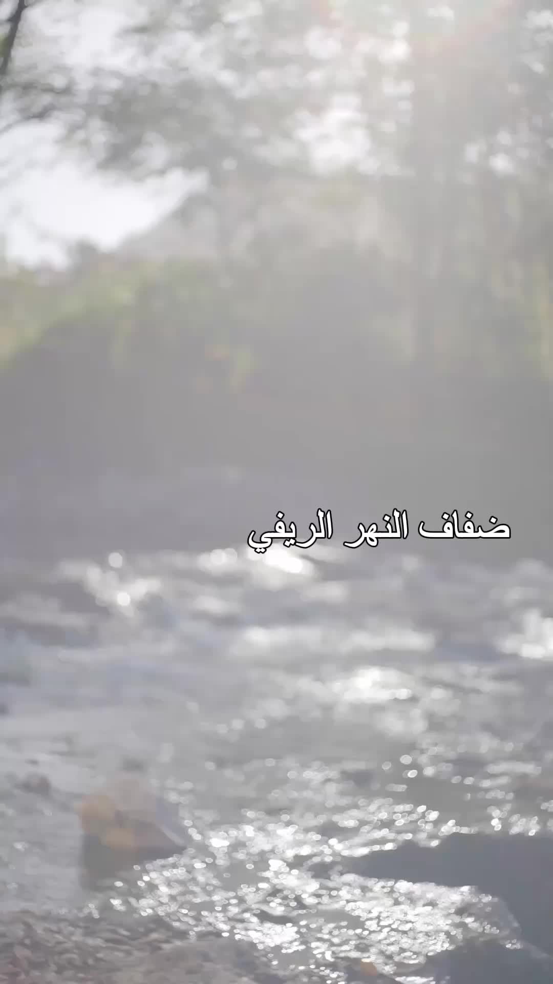 عروسي المفاجئة EP.1