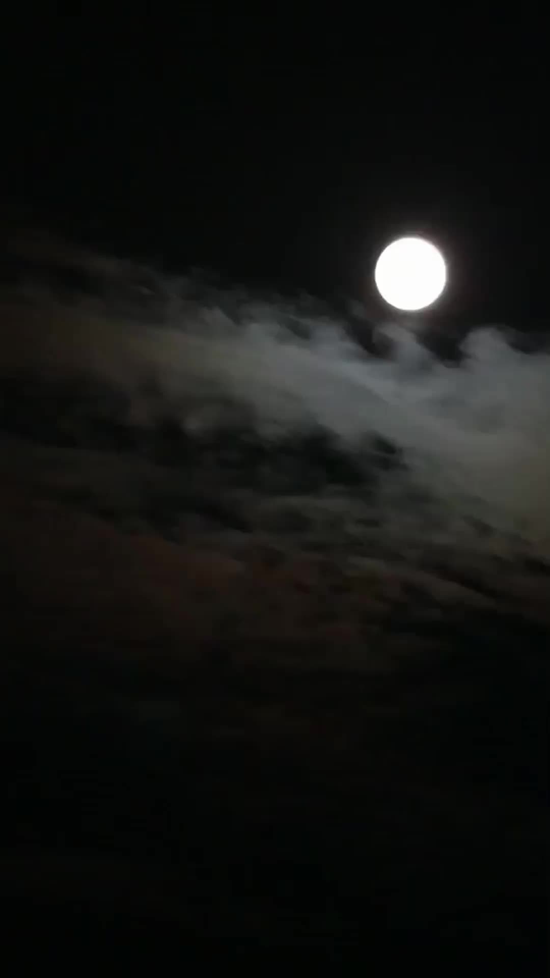 第7集