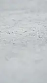 Episódio 1