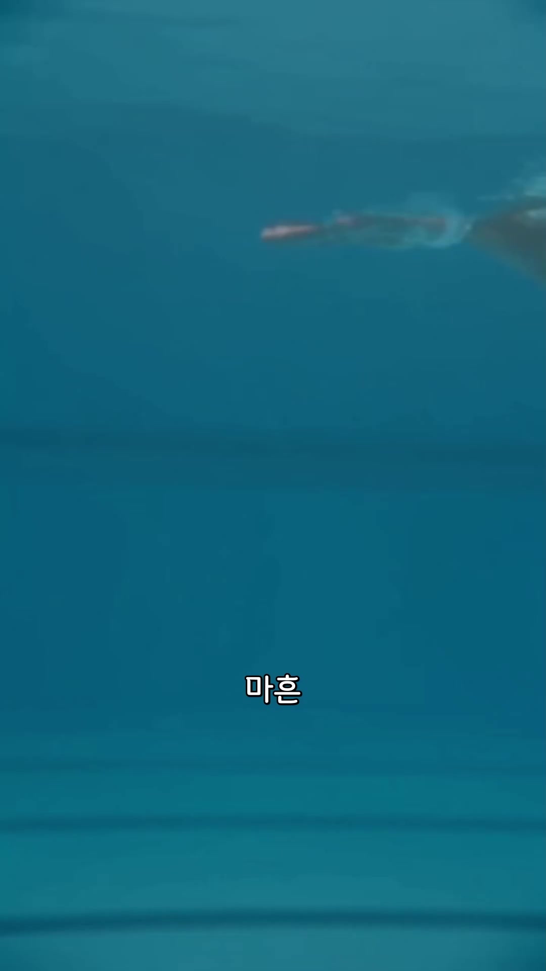 수영 라이벌 한집의 의붓형제 EP.1