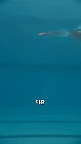 수영 라이벌 한집의 의붓형제 EP.1