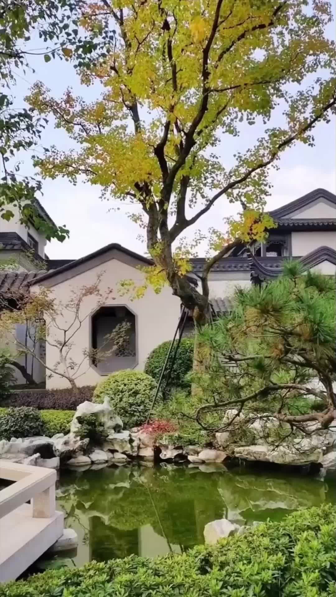 第35集