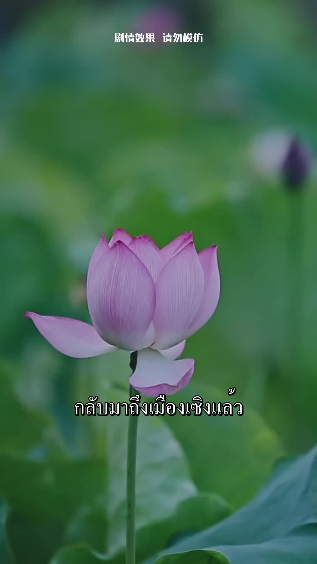 ตกหลุมรักจอมพลผู้โหดเหี้ยม EP.5