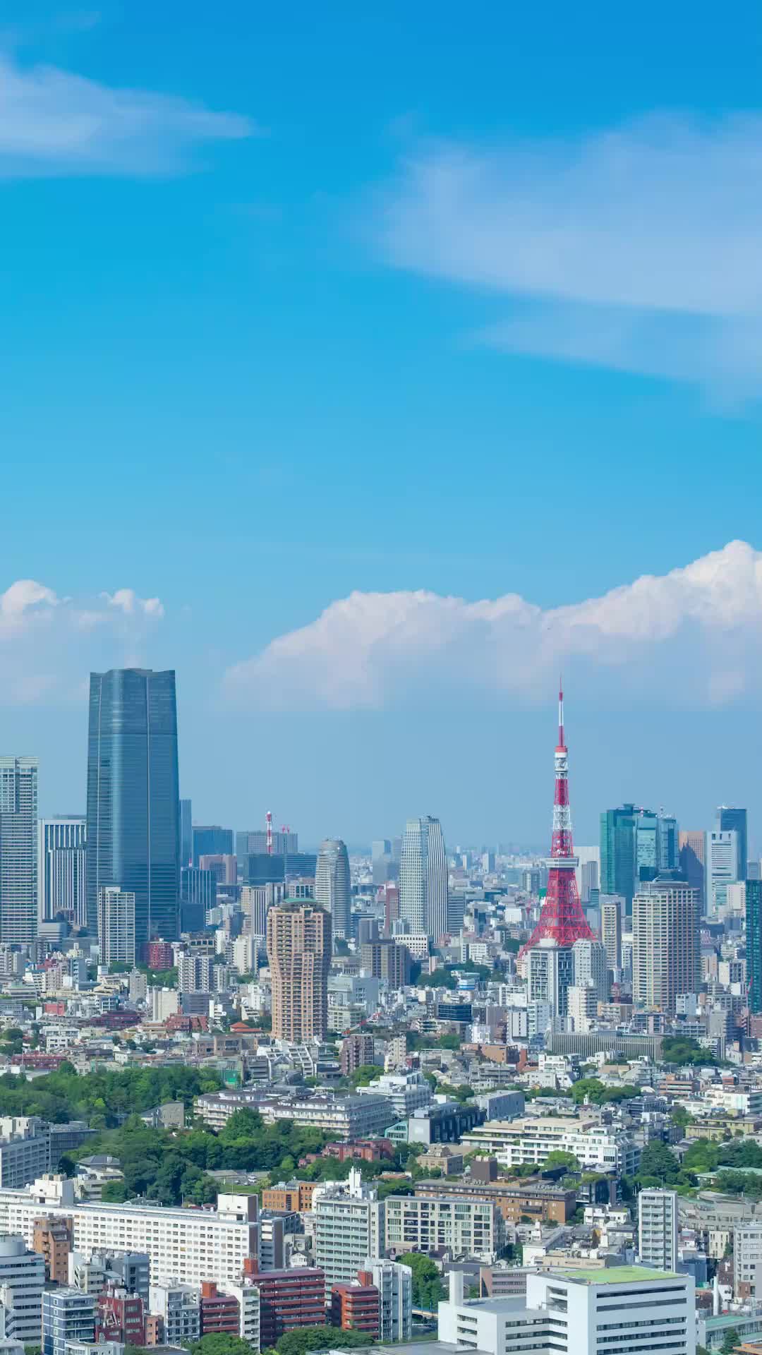 第36集