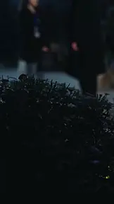Love Lies and Bloodline EP.9