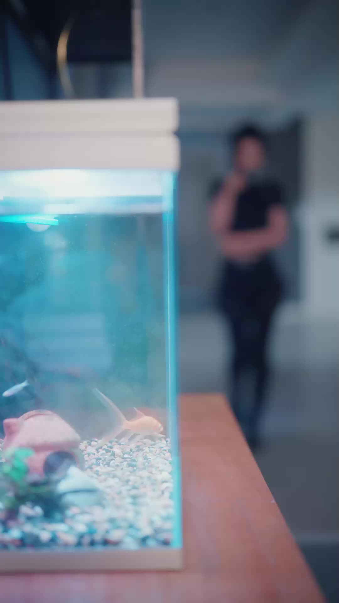 Die süße Rache der Ex-Frau EP.5