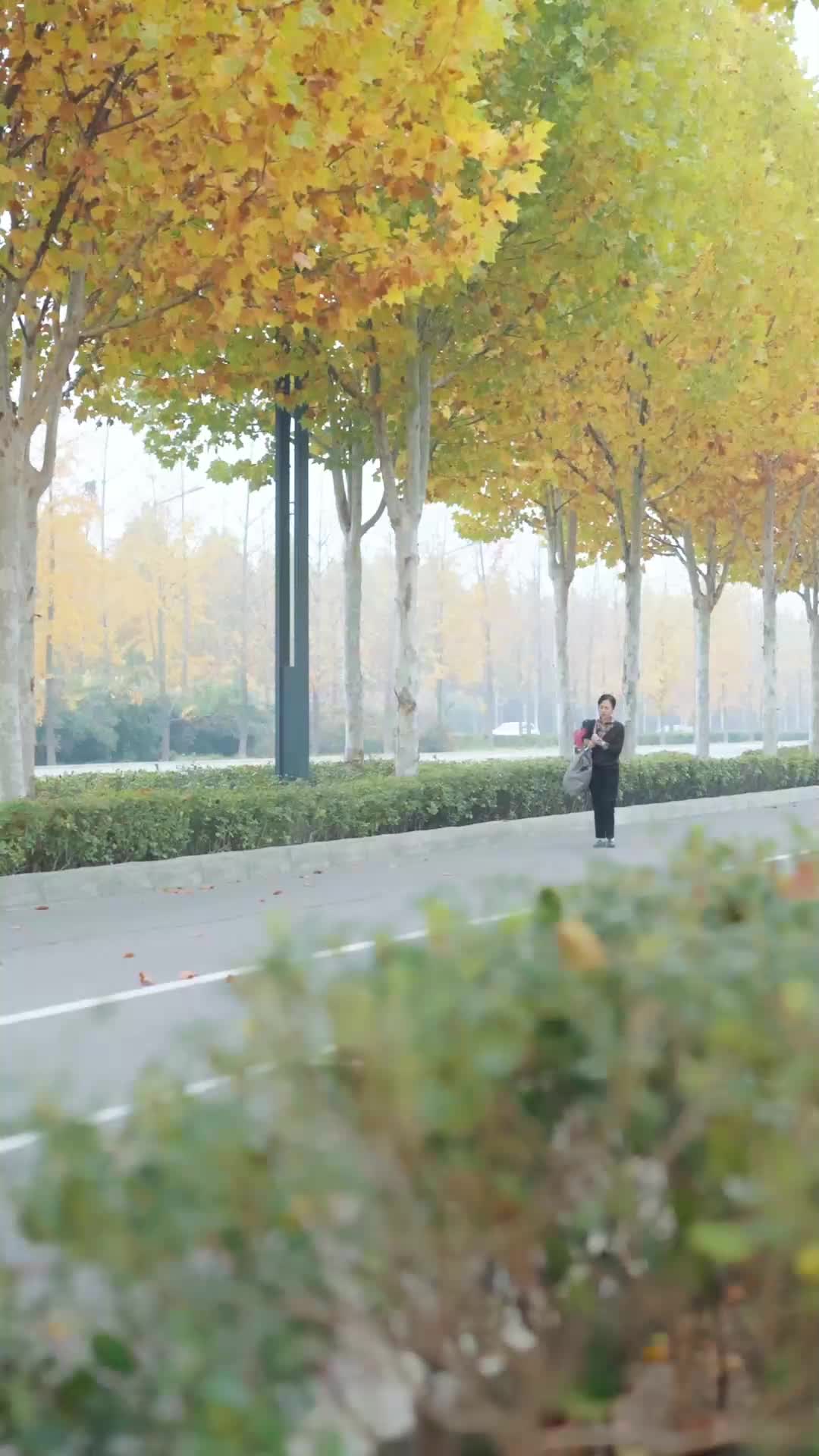 奶包小紅娘，我幫爺爺找對象 EP.2