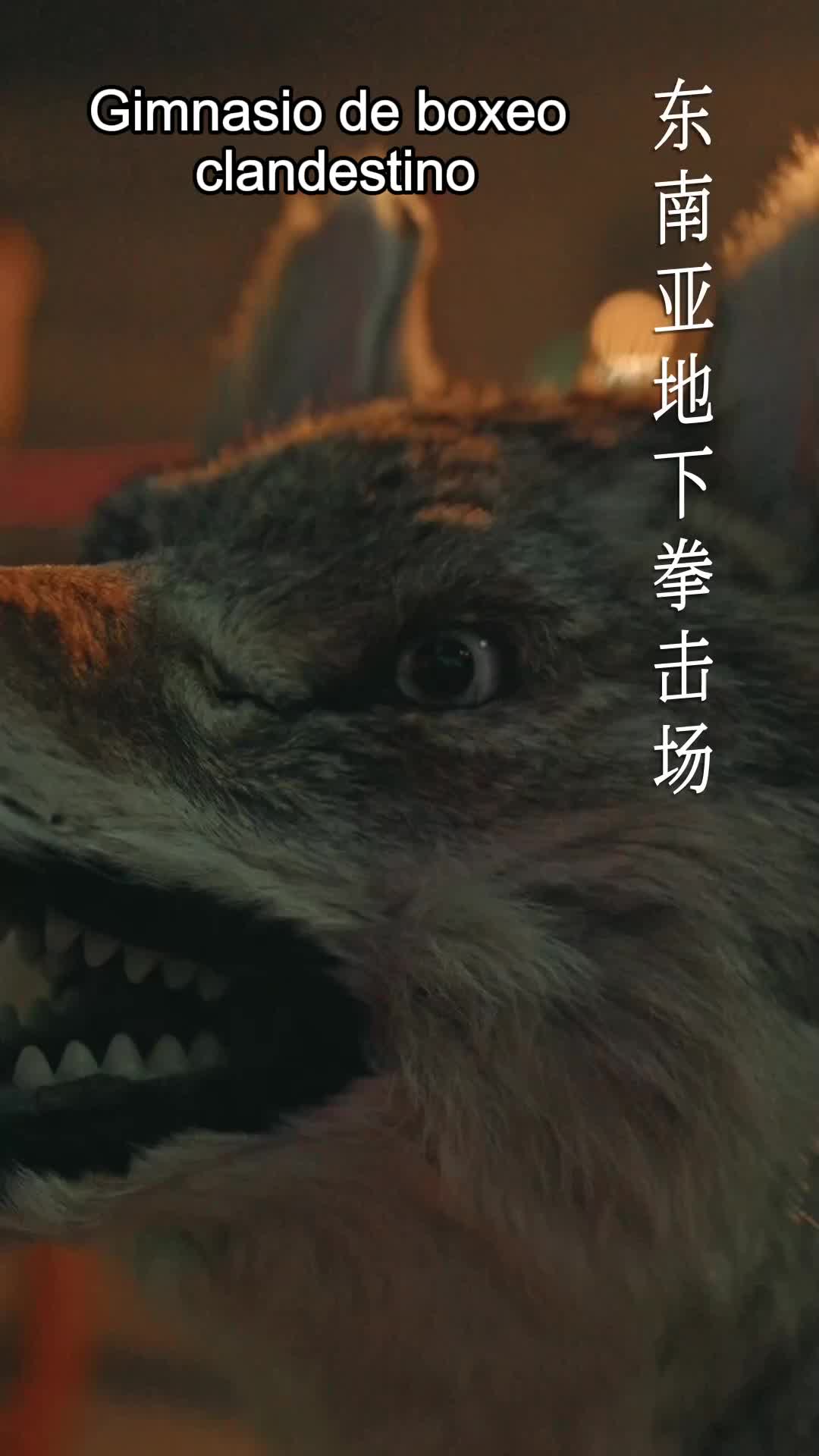 La rienda voluntaria EP.1