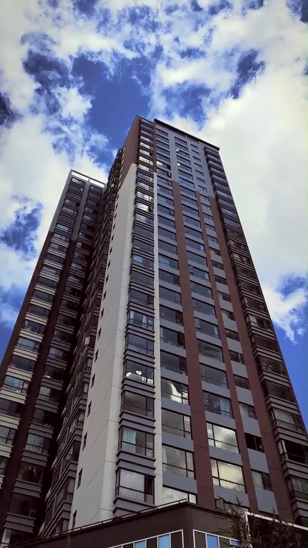 만천신선도 내 방송을 본다 EP.1