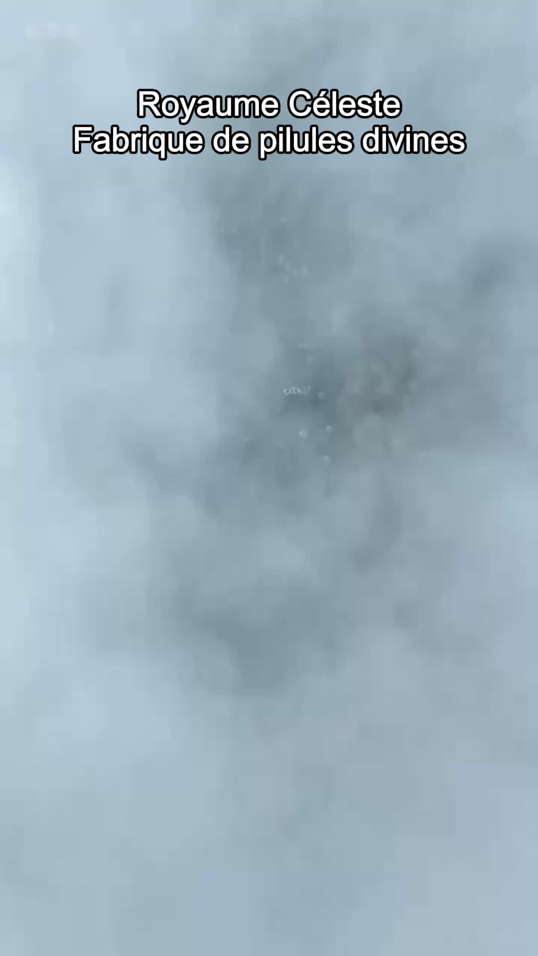 Un pour tous, tous immortels ! EP.1