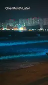 Episode 56