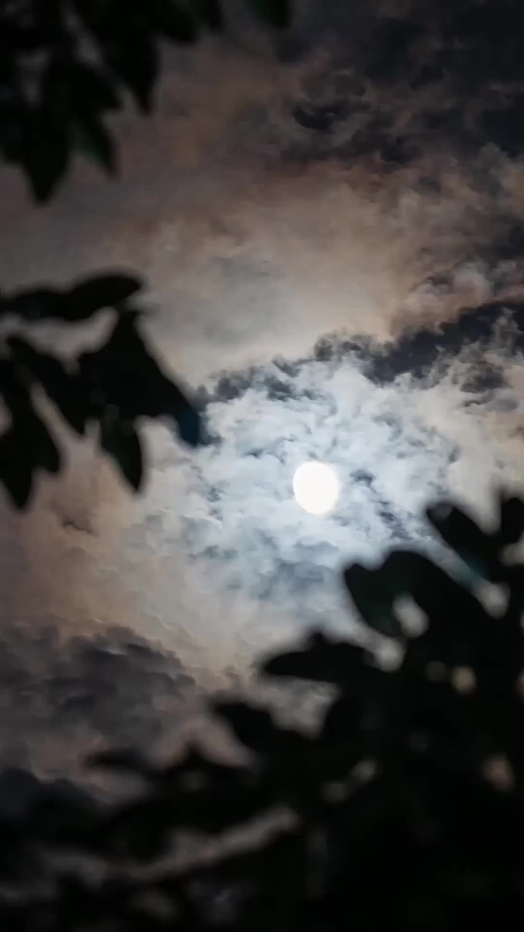 ตอนที่ 32