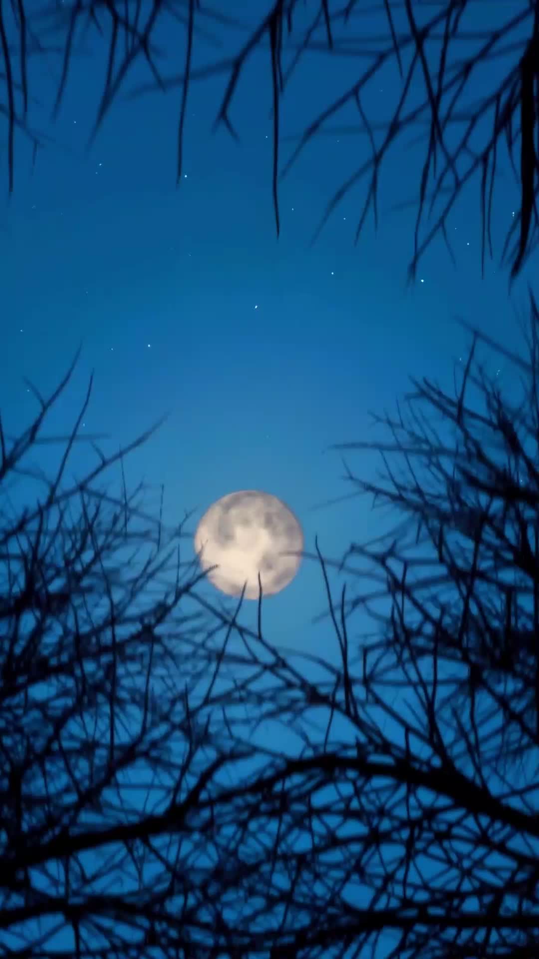 صراع القدر EP.1