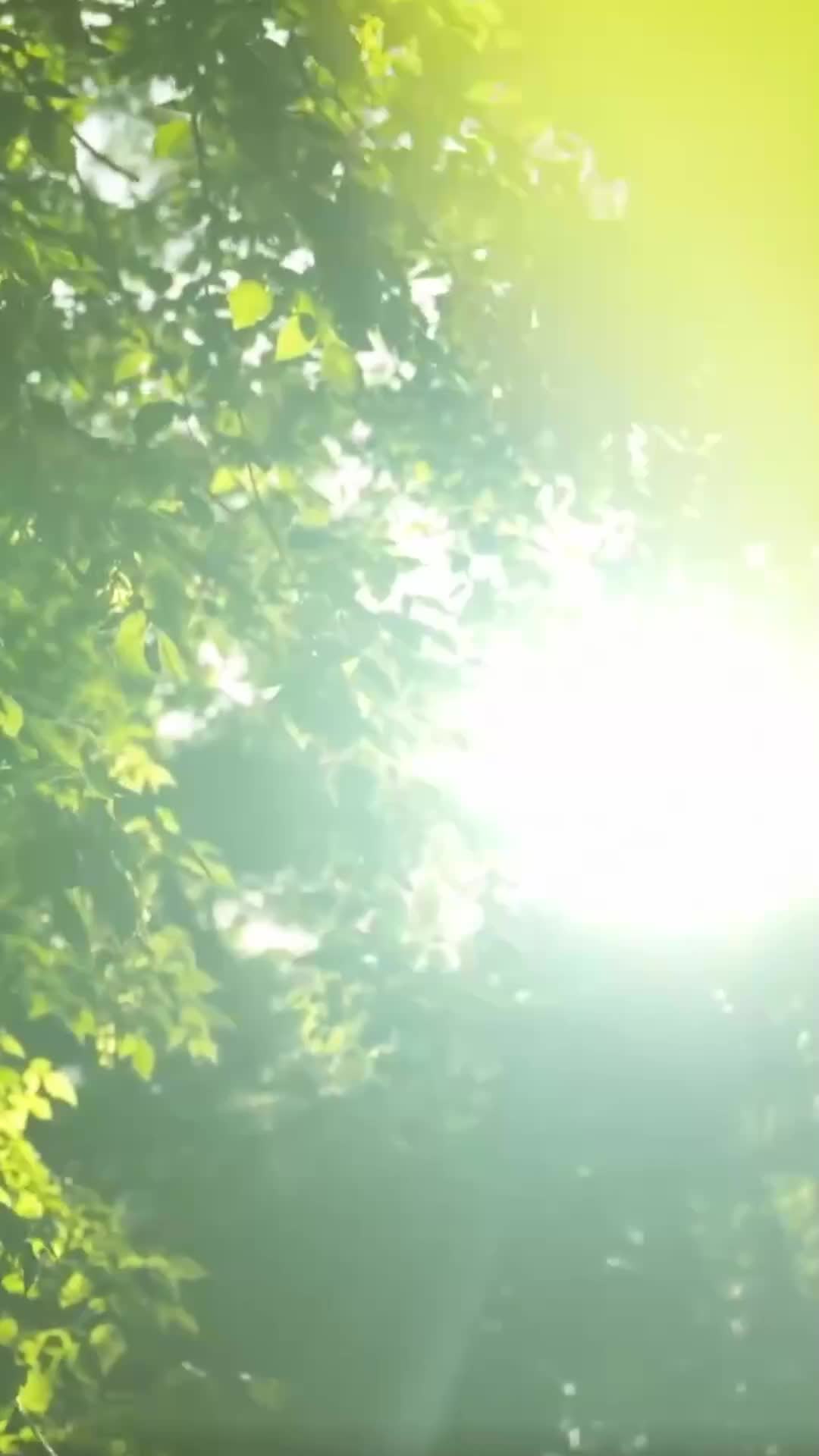 액받이 신부의 기적일지 EP.8