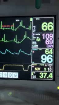 Liebe in Flammen, Liebling vor Gericht EP.5