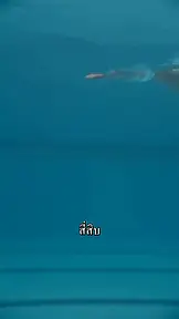 คู่แข่งในสระ สู่พี่น้อง EP.1