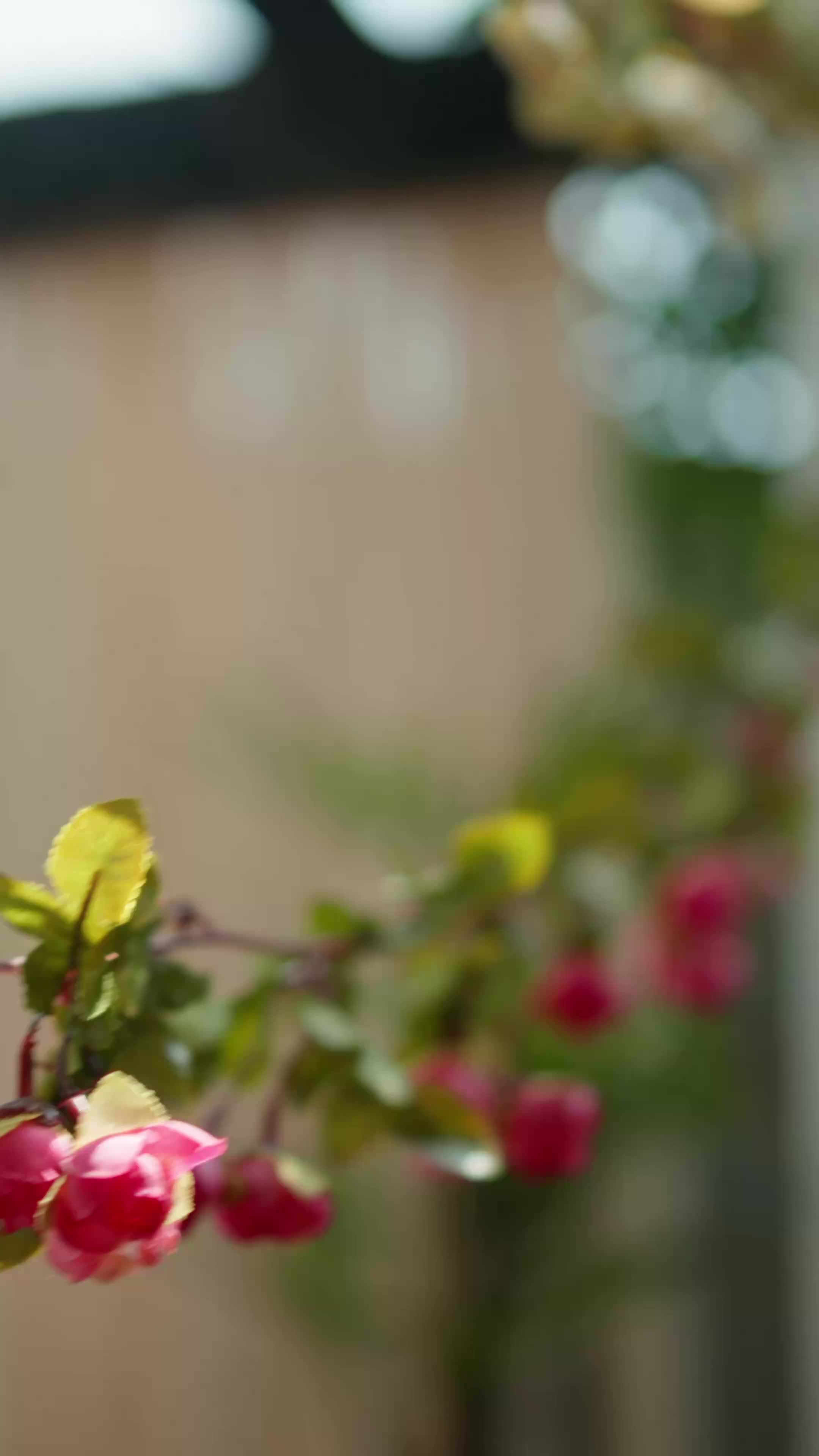 I Married The Mysterious CEO EP.3