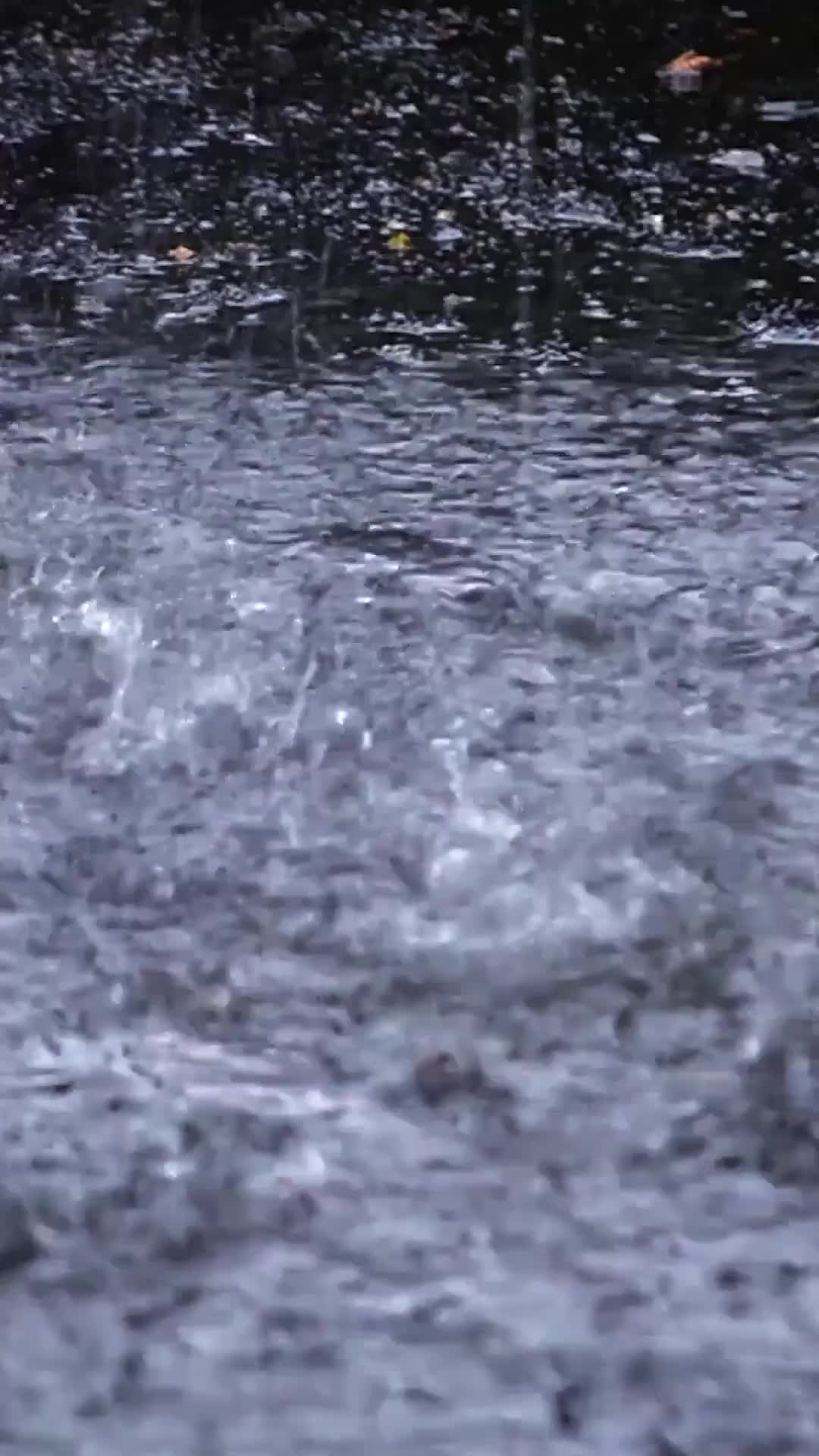 ตอนที่ 55