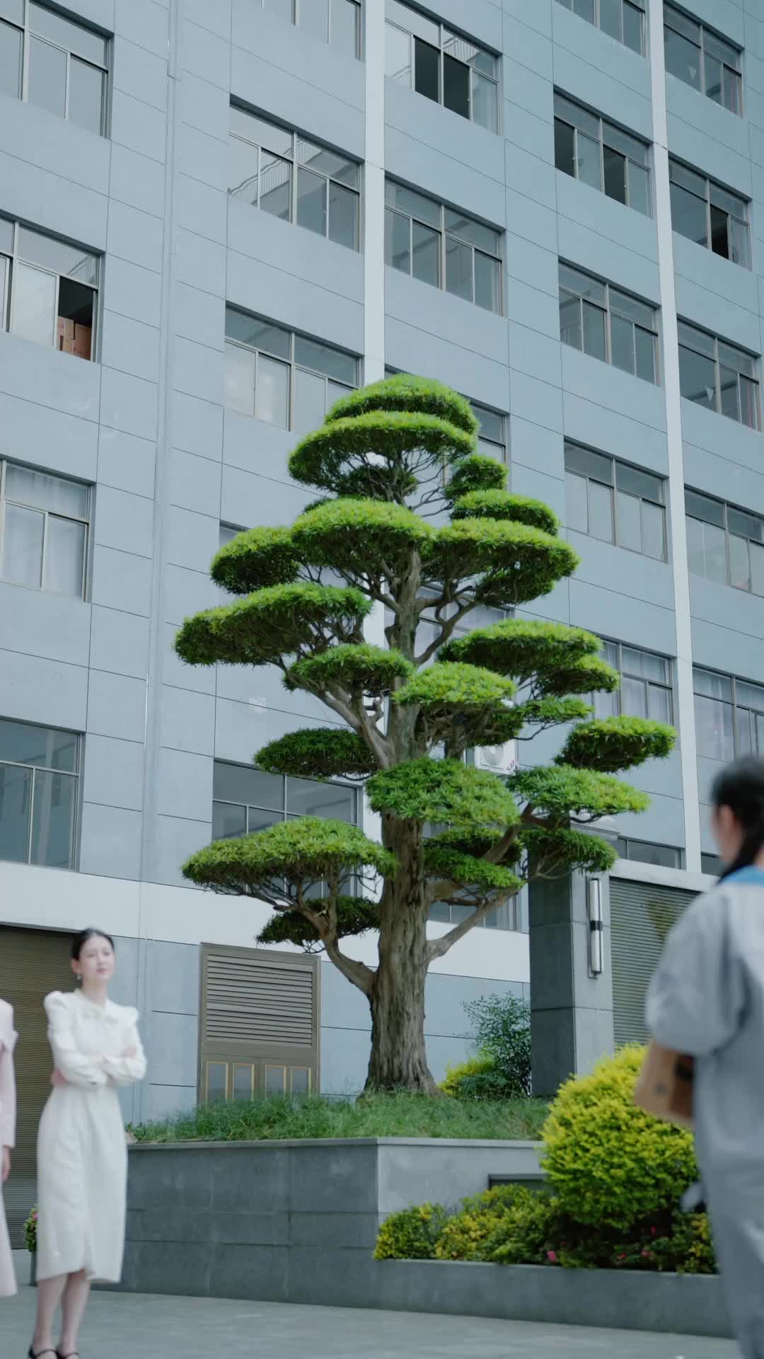 我曾資助她 EP.5