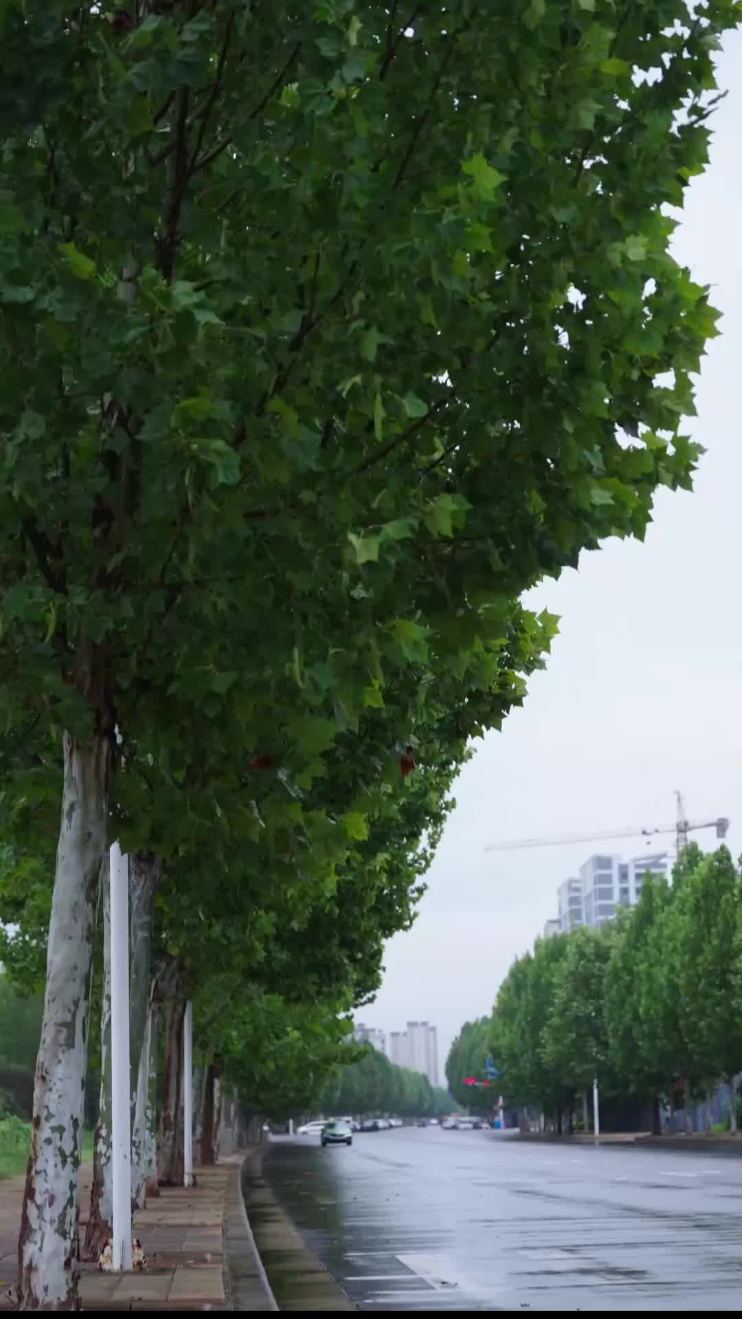 Épisode 70