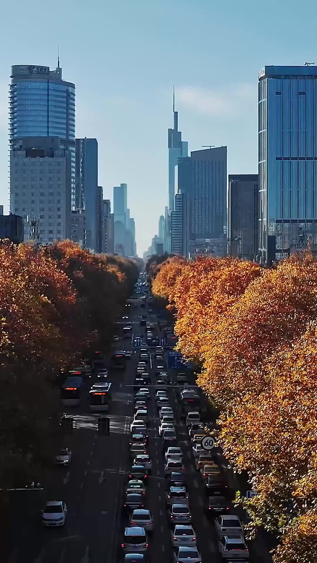 احذر من الشحاذ! EP.1