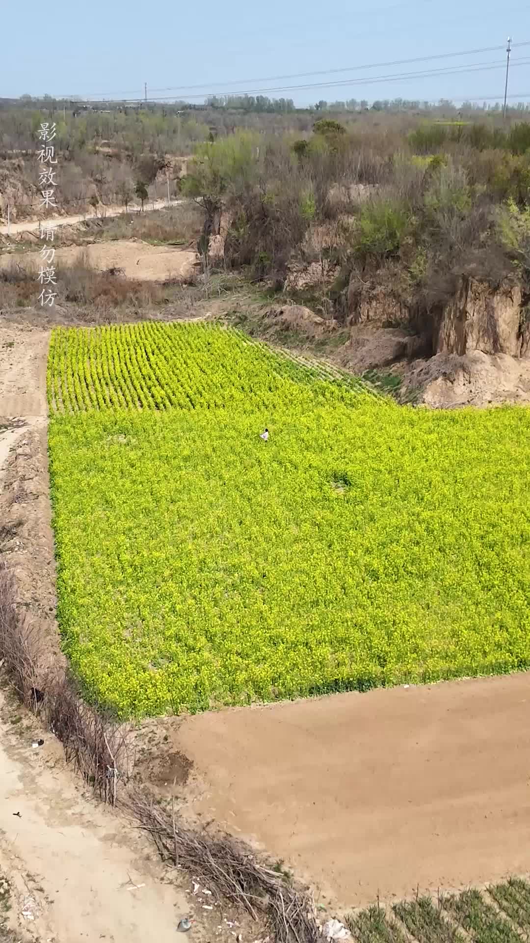 第1集