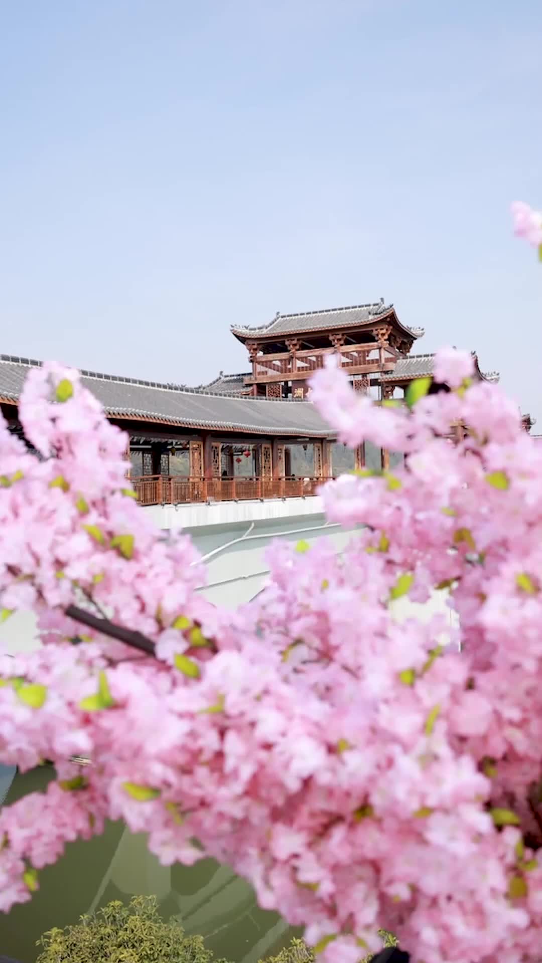 霍總，你的夫人有點野 EP.1