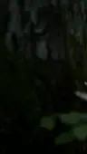 Episode 27
