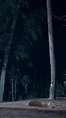 48회