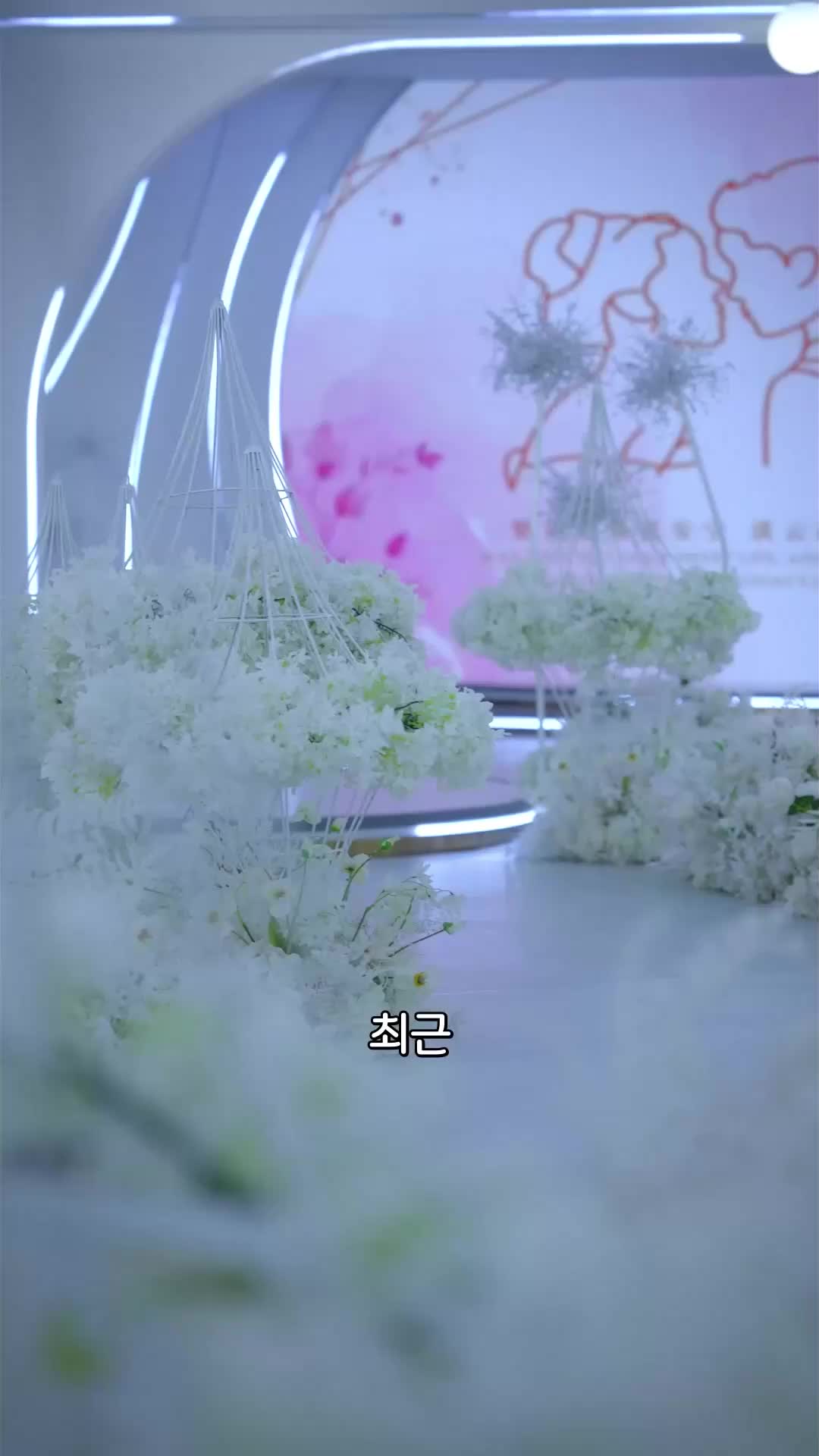 60회