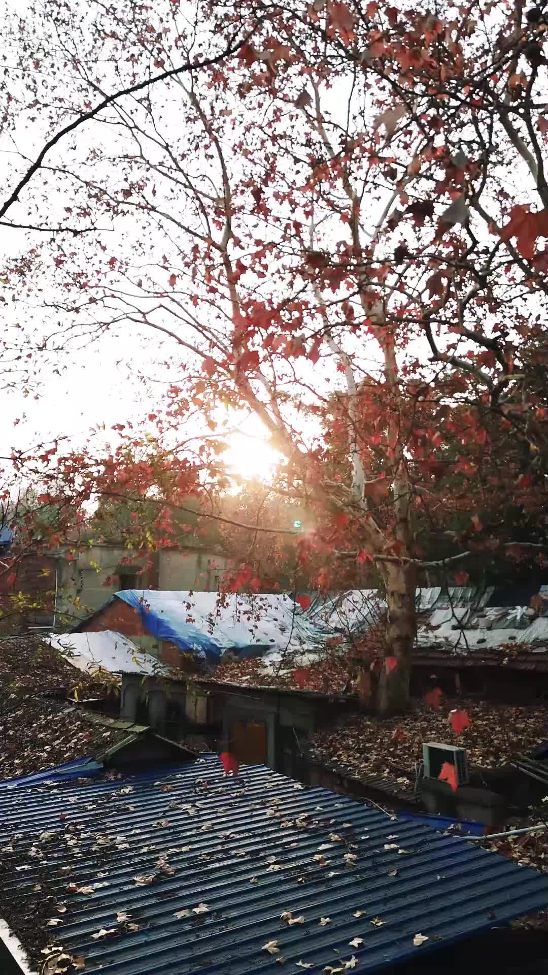 Quán Wonton Tỷ Phú EP.1