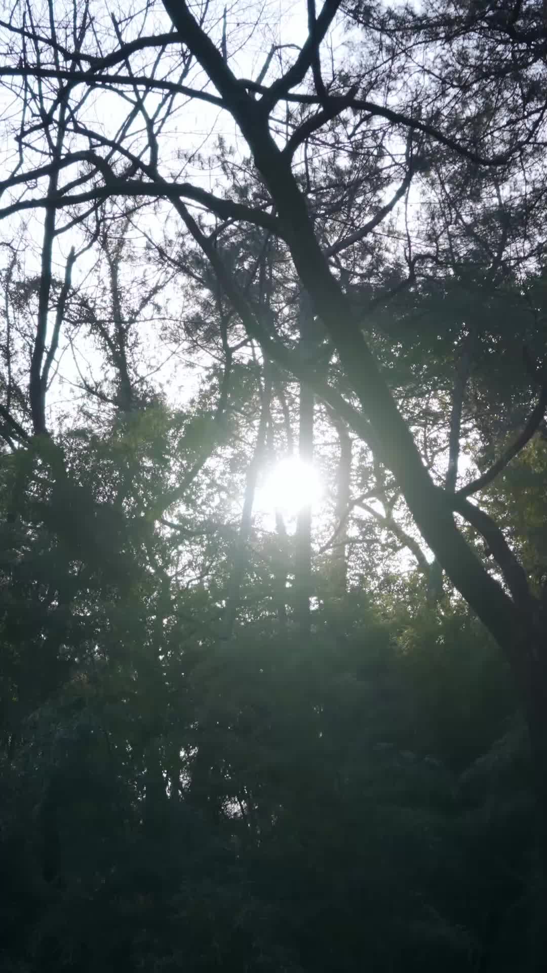 Con Mamá No Se Juega EP.6