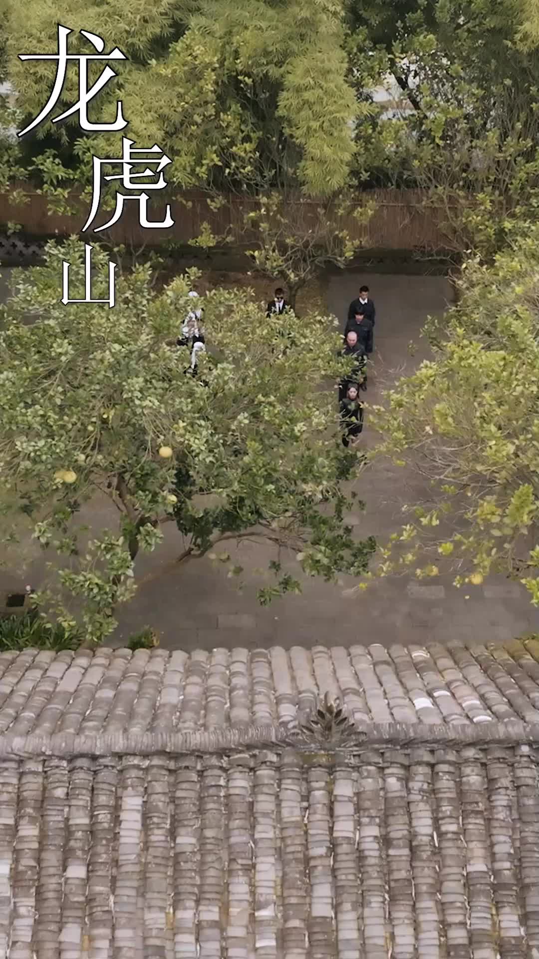 神醫下山，未婚妻閨蜜倒追我 EP.1